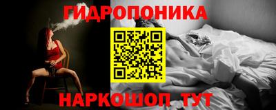 гашик Аргун