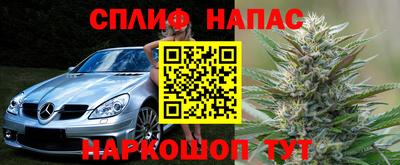гашик Аргун