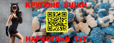 гашик Аргун
