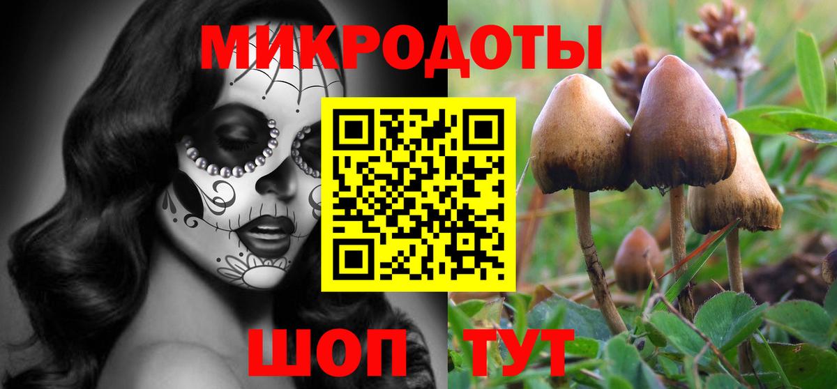 Выборг  Псилоцибиновые грибы прущие грибы  Вход с VPN  Псилоцибиновые грибы мухоморы 